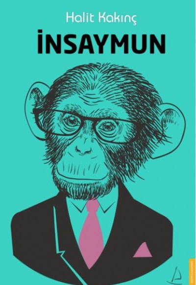 İnsaymun İnsaymun