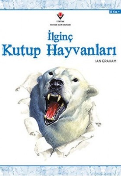 İlginç Kutup Hayvanları İlginç Kutup Hayvanları