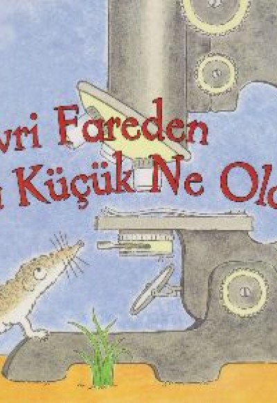 Cüce Sivri Fareden Daha Küçük Ne Olabilir? Cüce Sivri Fareden Daha Küçük Ne Olabilir?
