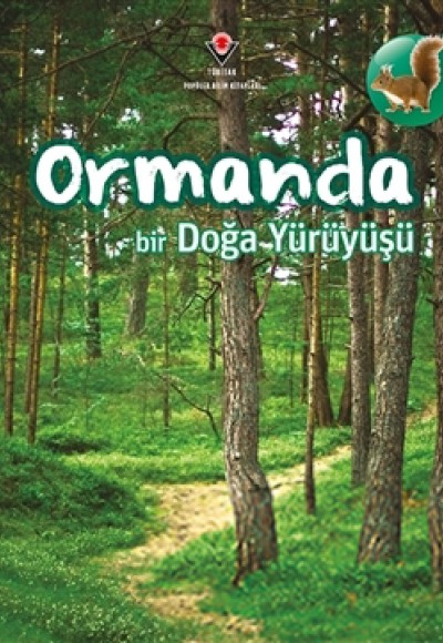 Ormanda Bir Doğa Yürüyüşü Ormanda Bir Doğa Yürüyüşü