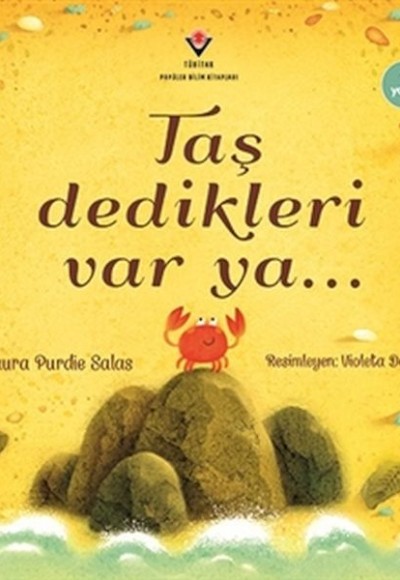 Taş Dedikleri Var Ya... Taş Dedikleri Var Ya...