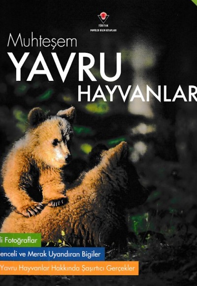 Muhteşem Yavru Hayvanlar Muhteşem Yavru Hayvanlar