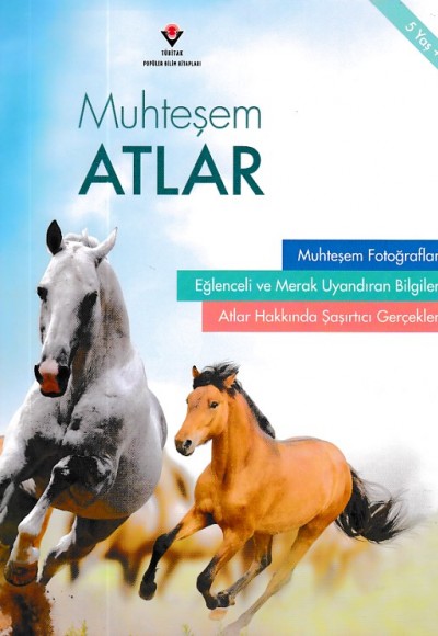 Muhteşem Atlar Muhteşem Atlar