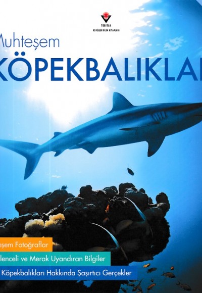Muhteşem Köpekbalıkları Muhteşem Köpekbalıkları