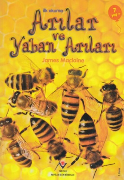 İlk Okuma - Arılar ve Yaban Arıları İlk Okuma - Arılar ve Yaban Arıları