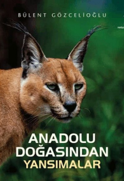 Anadolu Doğasından Yansımalar Anadolu Doğasından Yansımalar