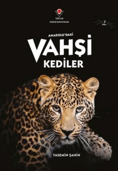 Anadolu'Daki Vahşi Kediler Anadolu'Daki Vahşi Kediler