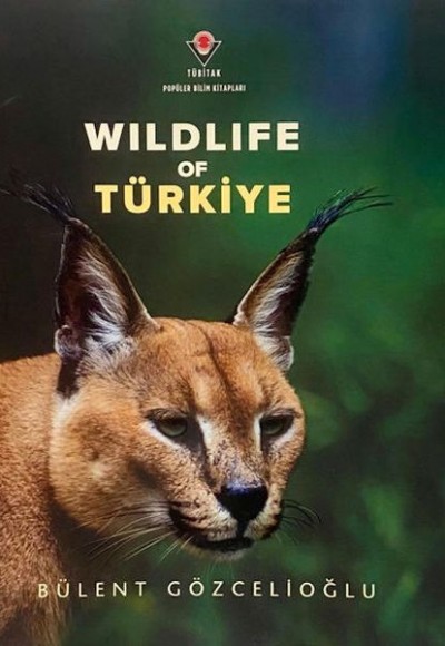 Wıldlıfe Of Türkiye Wıldlıfe Of Türkiye