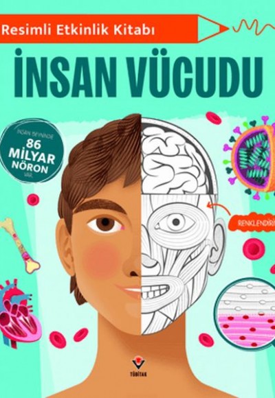 Resimli Etkinlik Kitabı - İnsan Vücudu Resimli Etkinlik Kitabı - İnsan Vücudu