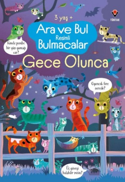 Ara ve Bul Resimli Bulmacalar - Gece Olunca