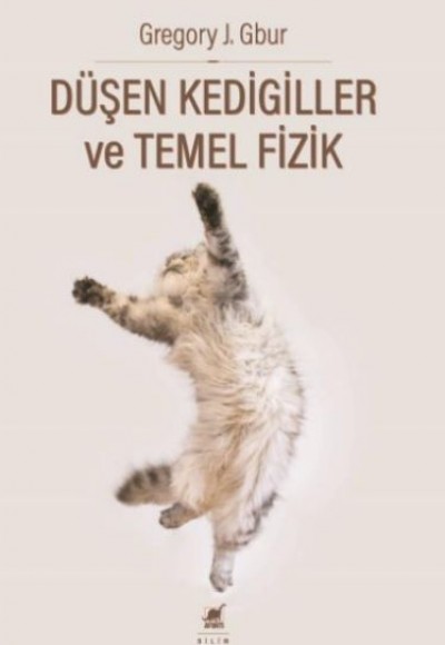 Du¨şen Kedigiller ve Temel Fizik Du¨şen Kedigiller ve Temel Fizik