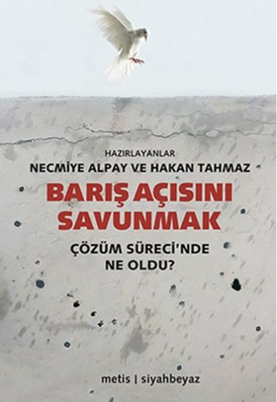 Barış Açısını Savunmak Çözüm Sürecinde Ne Oldu? Barış Açısını Savunmak Çözüm Sürecinde Ne Oldu?