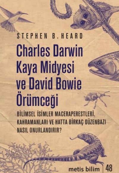 Charles Darwin Kaya Midyesi ve David Bowie Örümceği Charles Darwin Kaya Midyesi ve David Bowie Örümceği