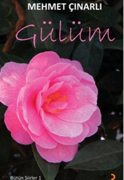 Gülüm / Bütün Şiirleri -1 Gülüm / Bütün Şiirleri -1