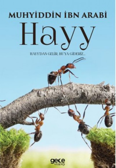 Hayy Hayy