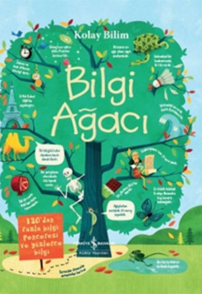 Kolay Bilim - Bilgi Ağacı Kolay Bilim - Bilgi Ağacı