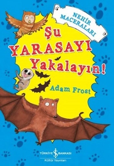 Şu Yarasayı Yakalayın! Şu Yarasayı Yakalayın!