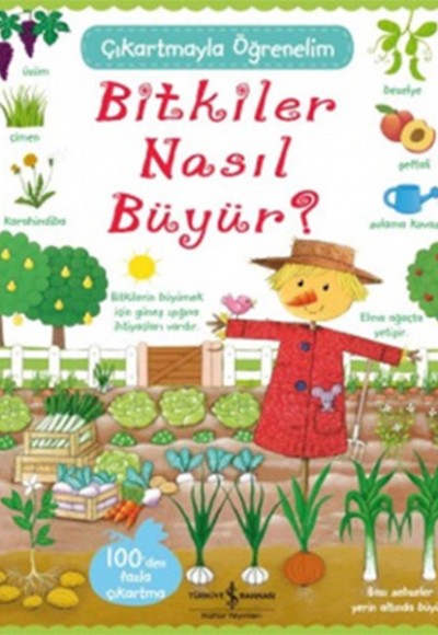 Çıkartmayla Öğrenelim Bitkiler Nasıl Büyür? Çıkartmayla Öğrenelim Bitkiler Nasıl Büyür?