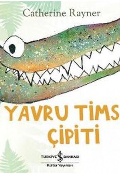 Yavru Timsah Çipiti Yavru Timsah Çipiti