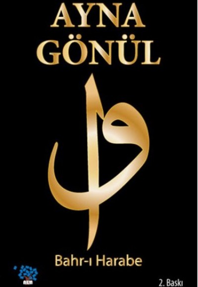 Ayna Gönül Ayna Gönül