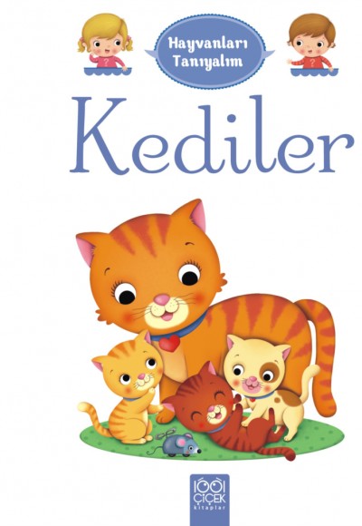 Hayvanları Tanıyalım - Kediler Hayvanları Tanıyalım - Kediler