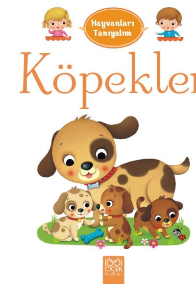 Hayvanları Tanıyalım - Köpekler Hayvanları Tanıyalım - Köpekler