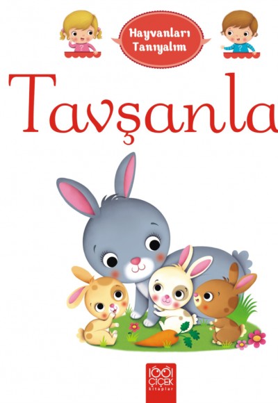Hayvanları Tanıyalım - Tavşanlar Hayvanları Tanıyalım - Tavşanlar