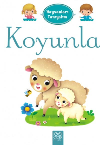 Hayvanları Tanıyalım - Koyunlar Hayvanları Tanıyalım - Koyunlar