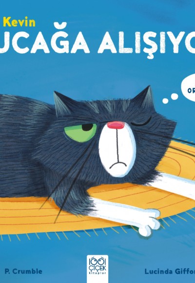 Kedi Kevin - Kucağa Alışıyor Kedi Kevin - Kucağa Alışıyor