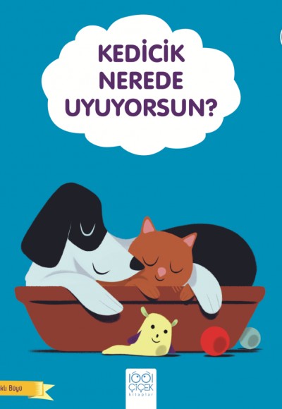 Kedicik Nerede Uyuyorsun? Kedicik Nerede Uyuyorsun?