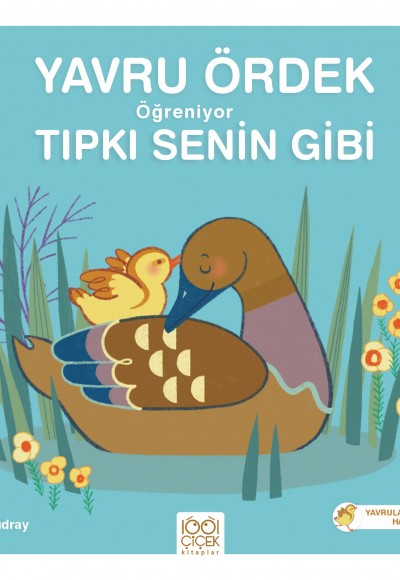 Yavru Ördek Öğreniyor Tıpkı Senin Gibi