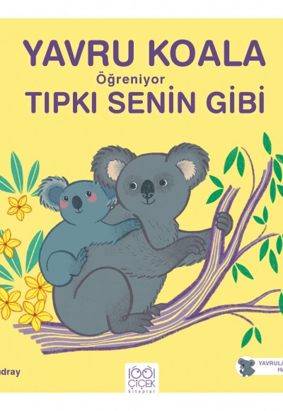 Yavru Koala Öğreniyor Tıpkı Senin Gibi