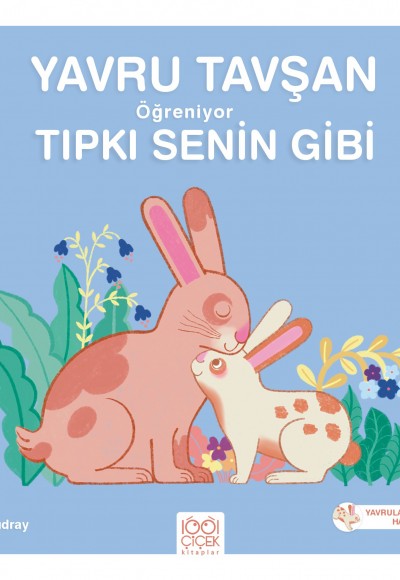 Yavru Tavşan Öğreniyor Tıpkı Senin Gibi