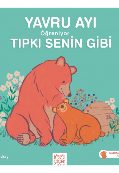 Yavru Ayı Öğreniyor Tıpkı Senin Gibi