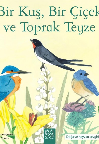 Bir Kuş, Bir Çiçek ve Toprak Teyze Bir Kuş, Bir Çiçek ve Toprak Teyze