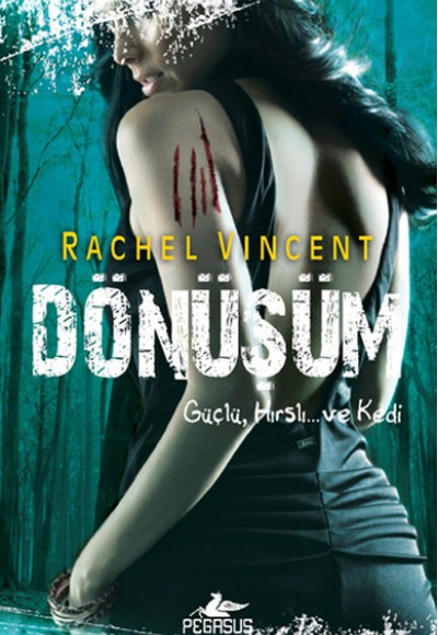 Dönüşüm / Dönüşüm Serisi -5 Dönüşüm / Dönüşüm Serisi -5
