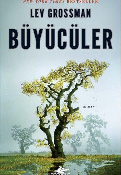 Büyücüler Büyücüler