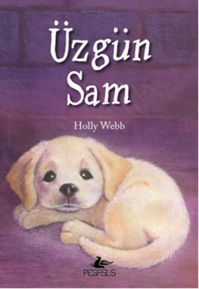 Üzgün Sam Üzgün Sam