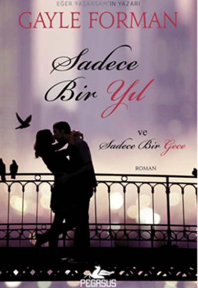Sadece Bir Yıl ve Sadece Bir Gece Sadece Bir Yıl ve Sadece Bir Gece