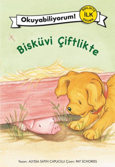 Bisküvi Çiftlikte Bisküvi Çiftlikte