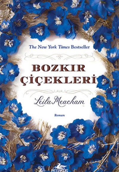 Bozkır Çiçekleri Bozkır Çiçekleri
