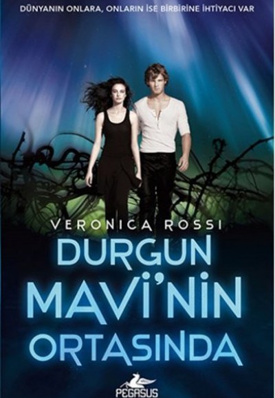 Durgun Mavi'nin Ortasında Durgun Mavi'nin Ortasında