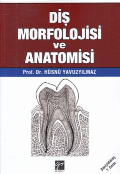 Diş Morfolojisi ve Anatomisi Diş Morfolojisi ve Anatomisi