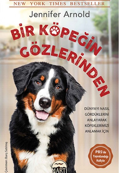 Bir Köpeğin Gözlerinden Bir Köpeğin Gözlerinden
