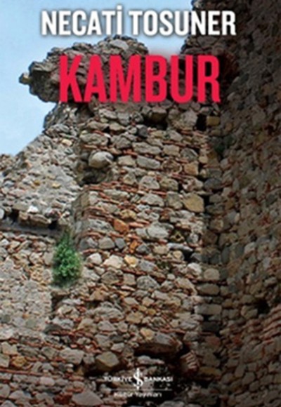 Kambur Kambur
