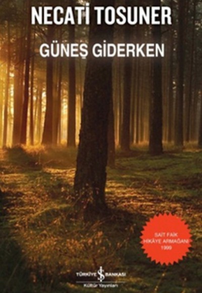 Güneş Giderken Güneş Giderken