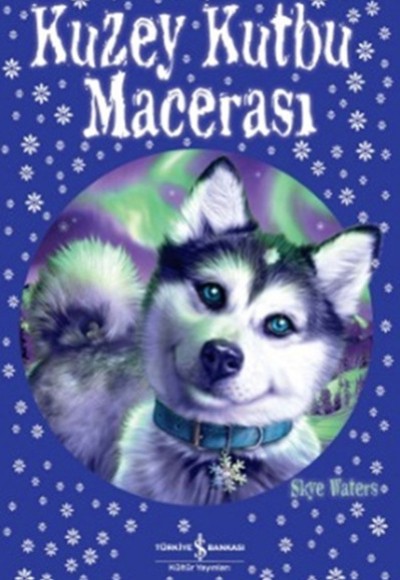 Kuzey Kutbu Macerası Kuzey Kutbu Macerası