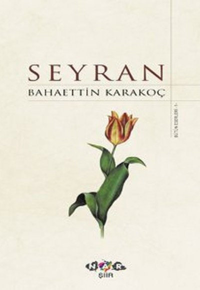 Seyran (ciltli) Seyran (ciltli)