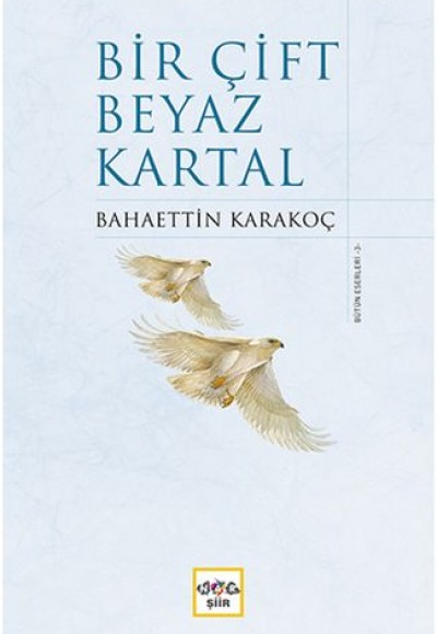 Bir Çift Beyaz Kartal (Ciltli) Bir Çift Beyaz Kartal (Ciltli)