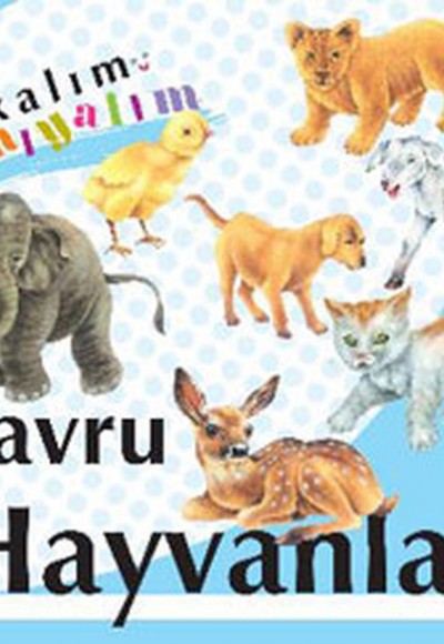 Bakalım Tanıyalım Yavru Hayvanlar (Ciltli) Bakalım Tanıyalım Yavru Hayvanlar (Ciltli)